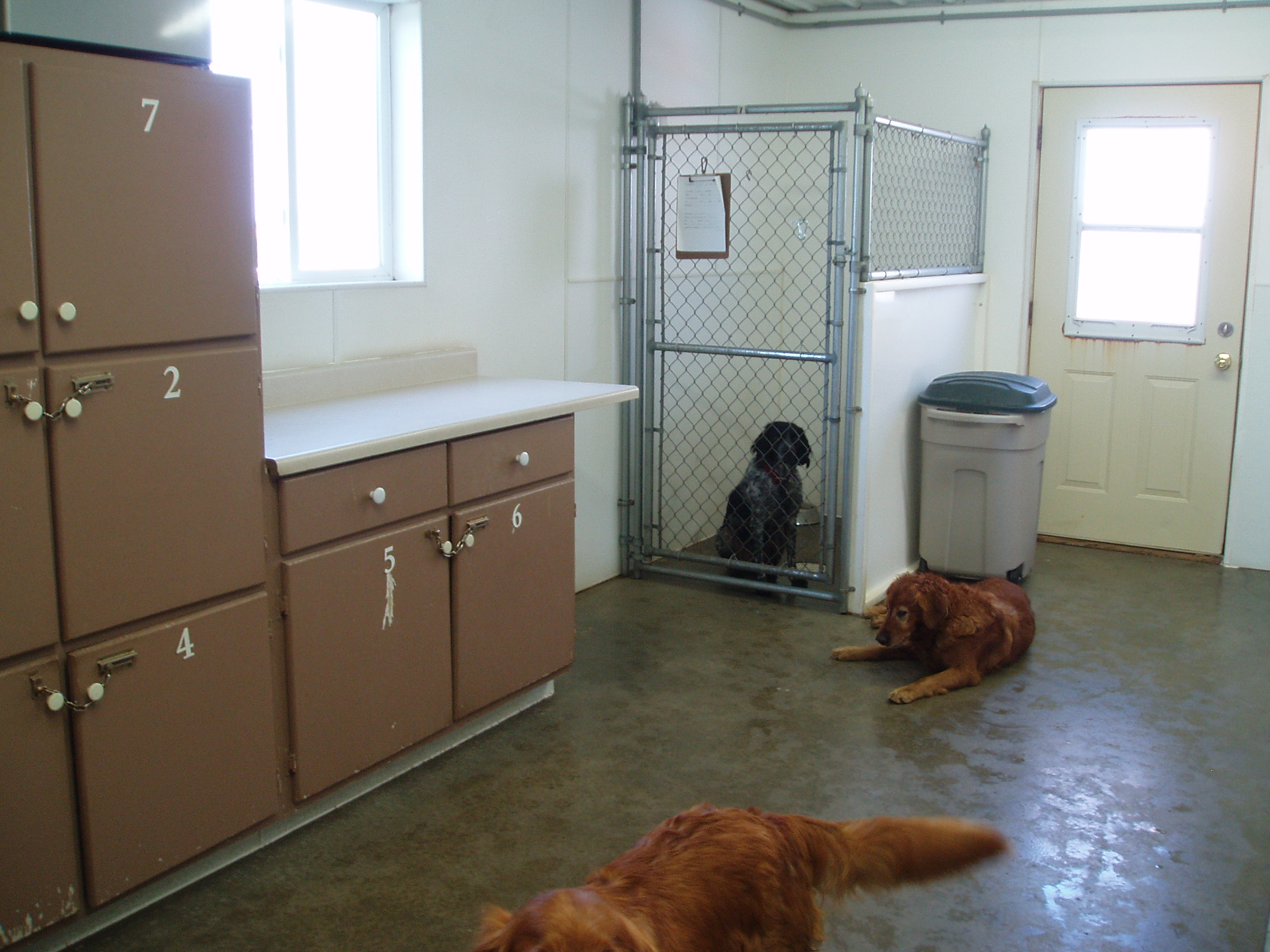 June2010_009