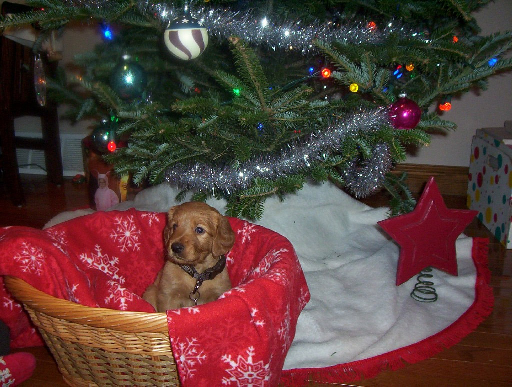 christmas
