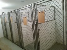 kennels1 kennels1