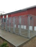 kennels2 kennels2