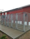 kennels2