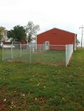 kennels3 kennels3